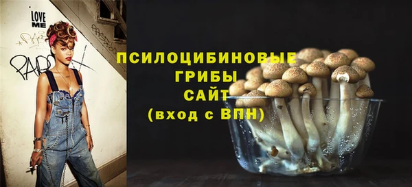 стаф Алексеевка
