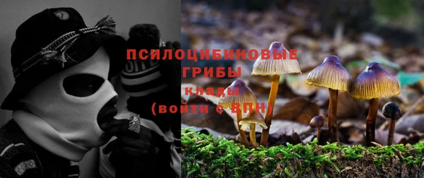 прущие крисы Алексин