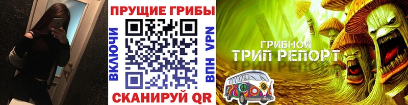 Псилоцибиновые грибы Psilocybe Углич